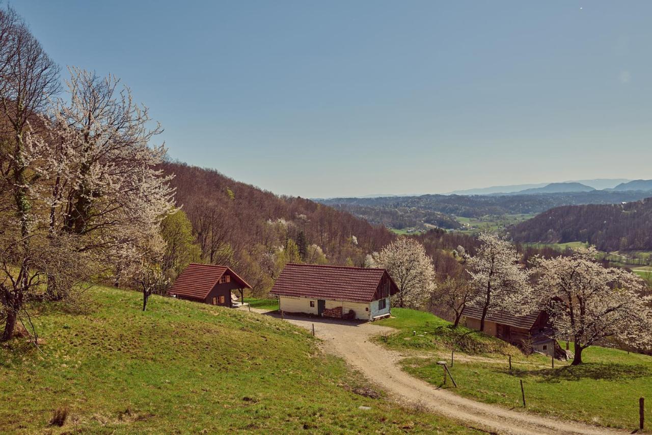 Tri Vile Estate, A Piece Of Paradise In Kozjansko Подчетртек Экстерьер фото